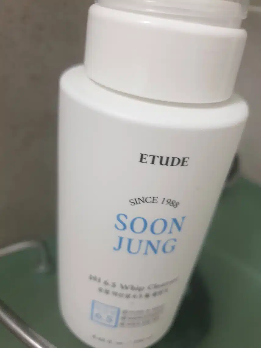 내돈내산 순정 폼클렌징