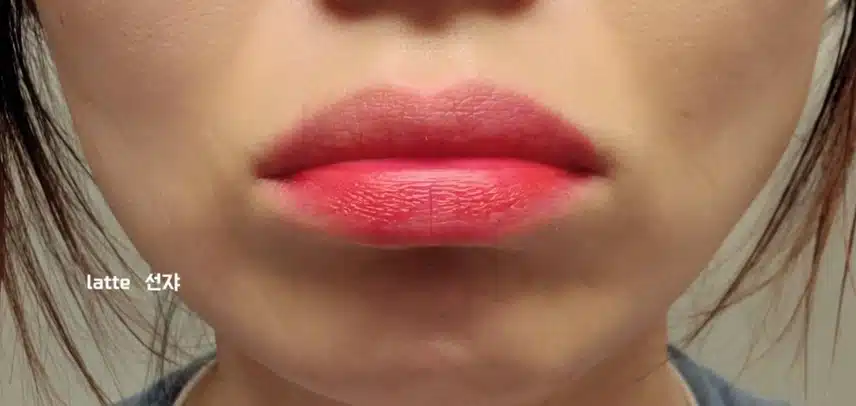 [내돈내산 립메이크업] 맥퀸뉴욕 젤리플럼핑 워터틴트 🧡