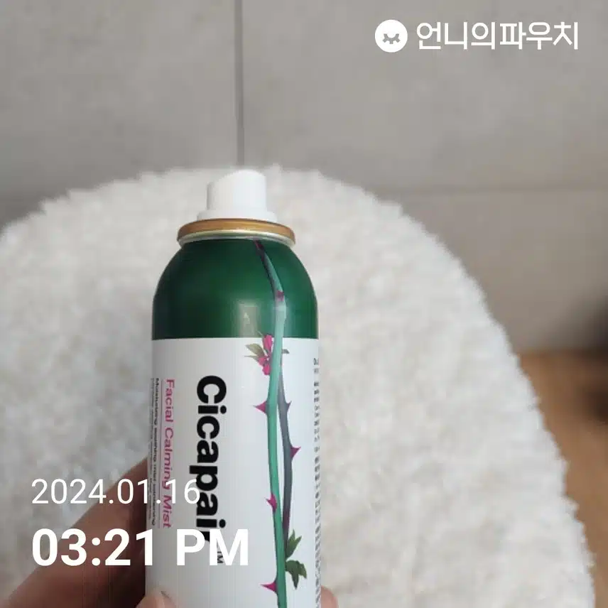미스트