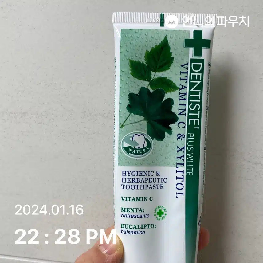 덴티스테 치약