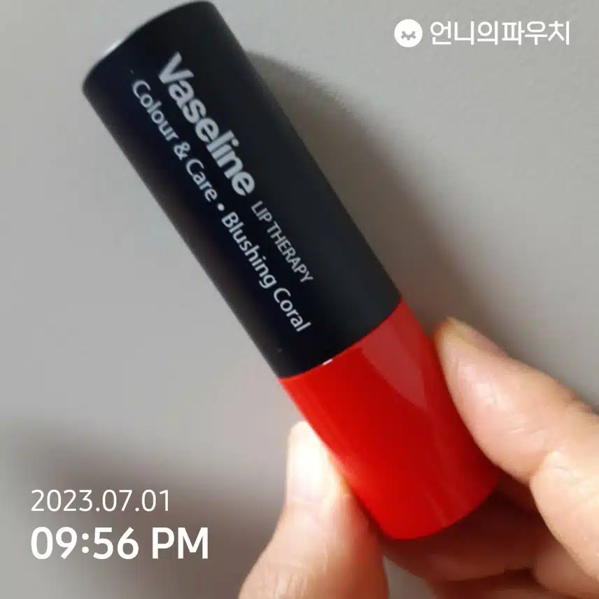 내돈내산 바세린 립테라피^^