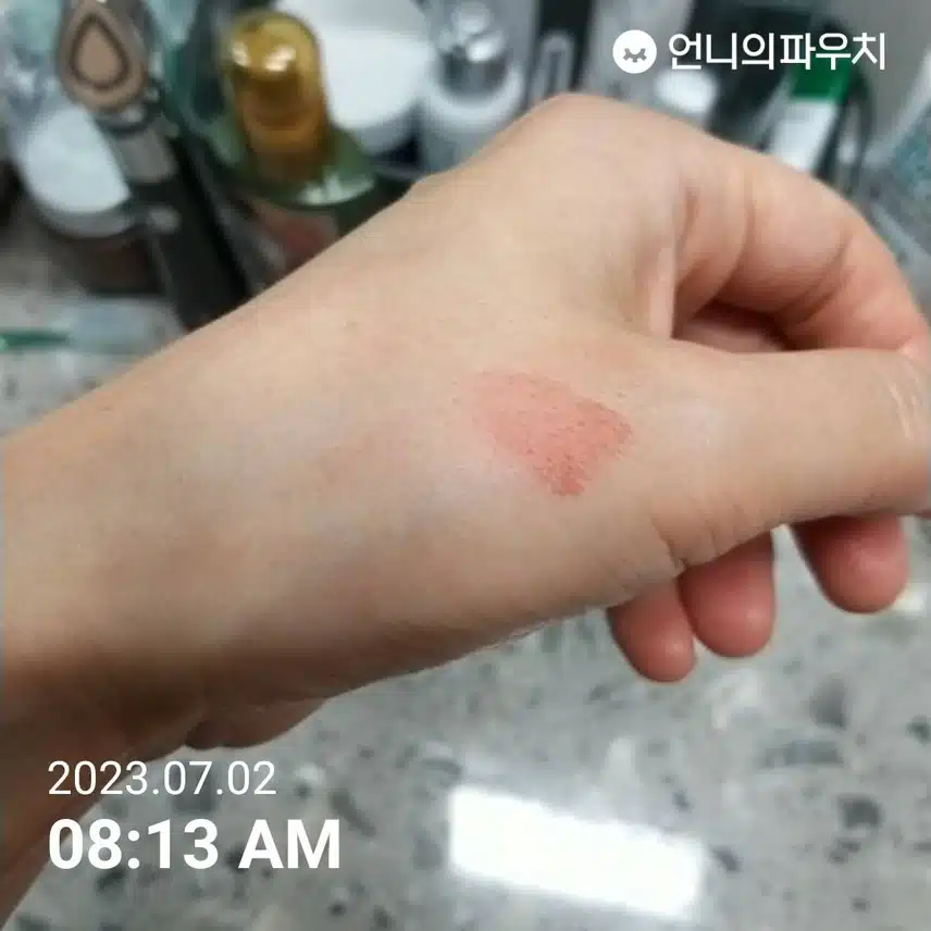 내돈 내산 립틴트~