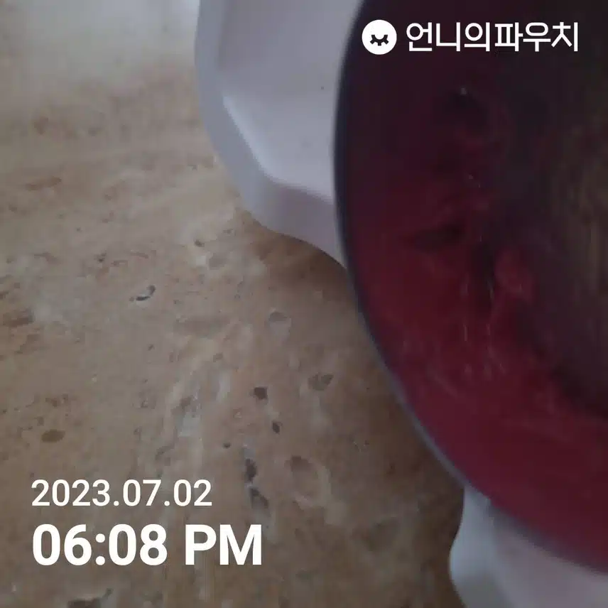 바세린 립 테라피 로지 립스 내돈내산 후기!!