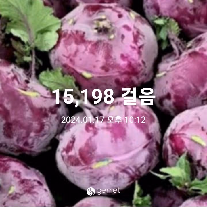 다이어트간식-콜라비, 무