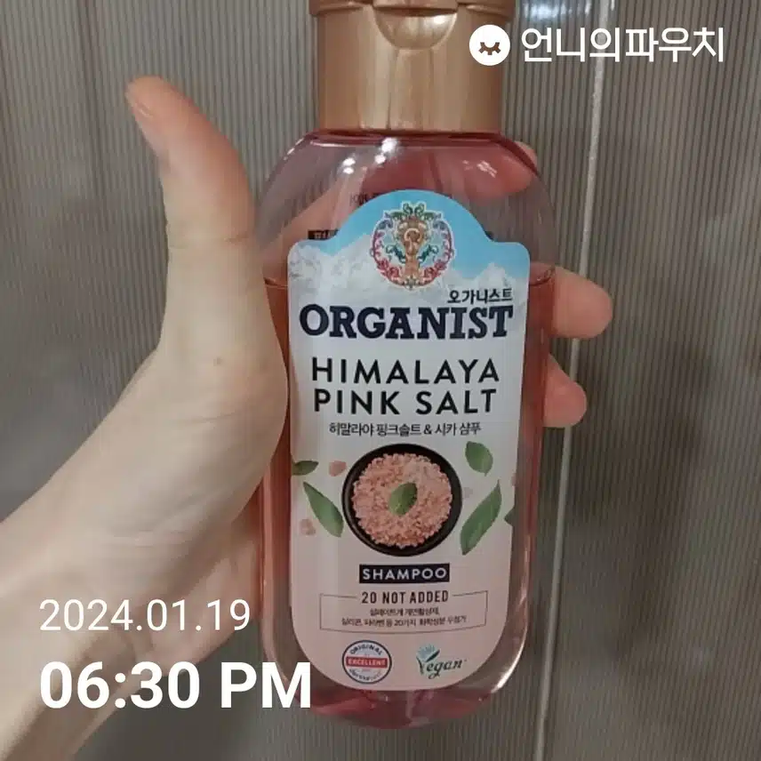 오가니스트