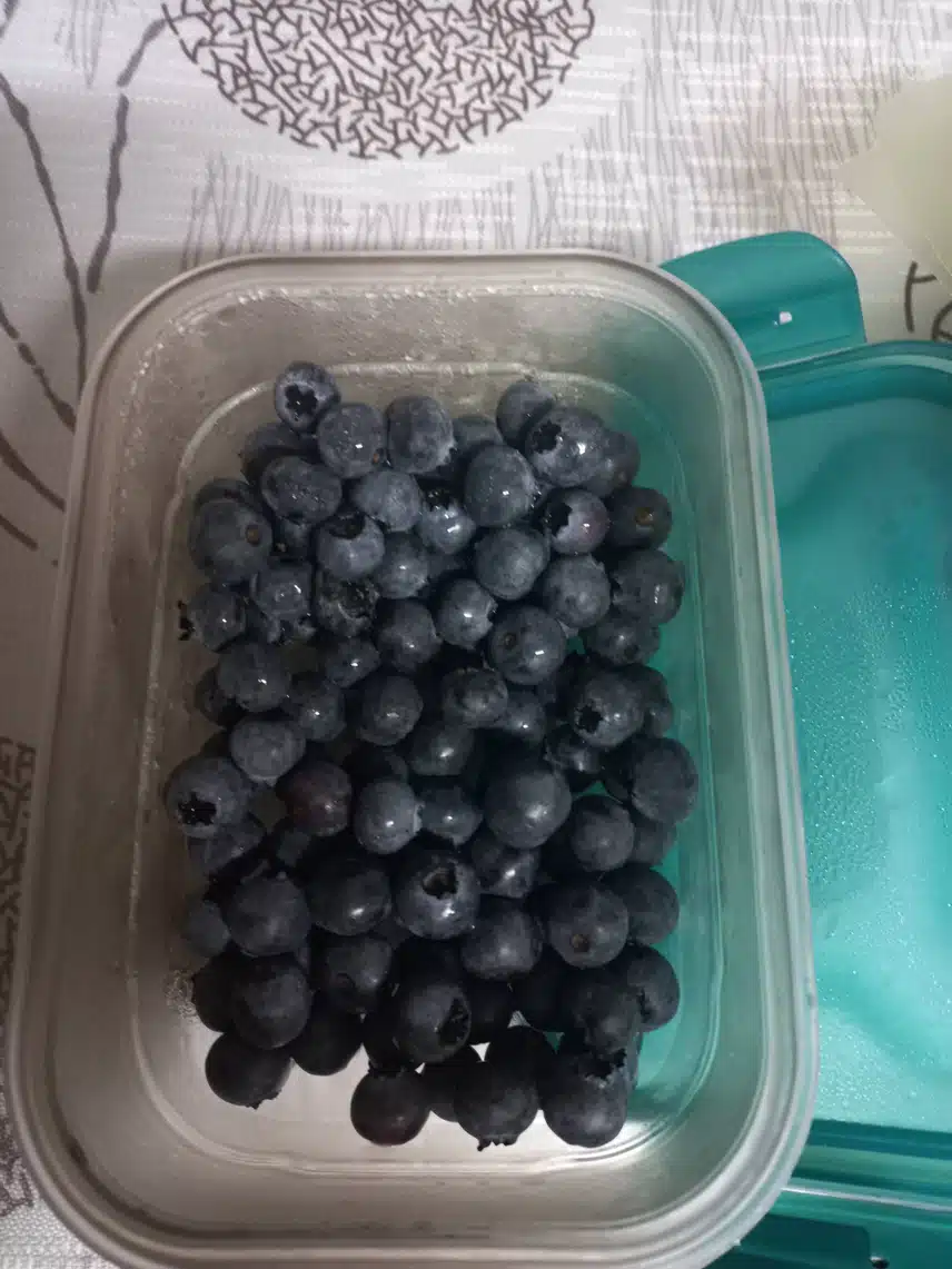 야식을 먹고 싶을땐 블루베리 먹어요