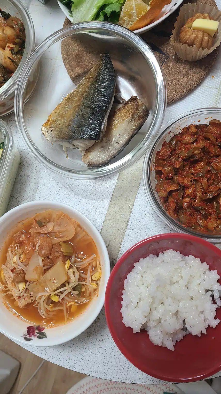 육해공 단백질식단