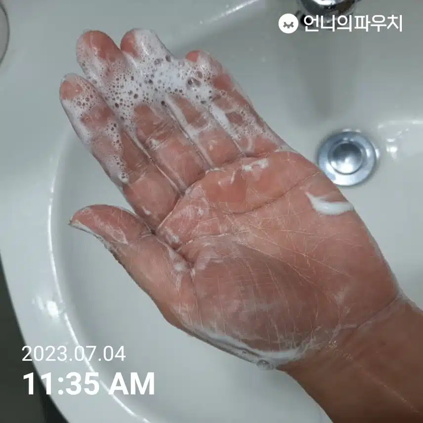 역시 센카 퍼펙트 휩