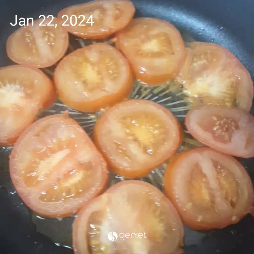 금쪽 같은 토마토