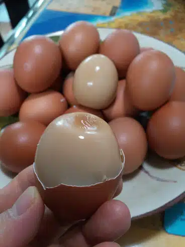 다이어트 식단 : 맥반석 구운계란 