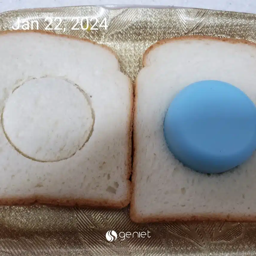 저의 단백질...? 달걀달걀