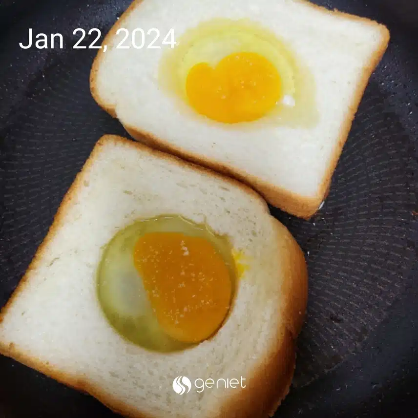 저의 단백질...? 달걀달걀