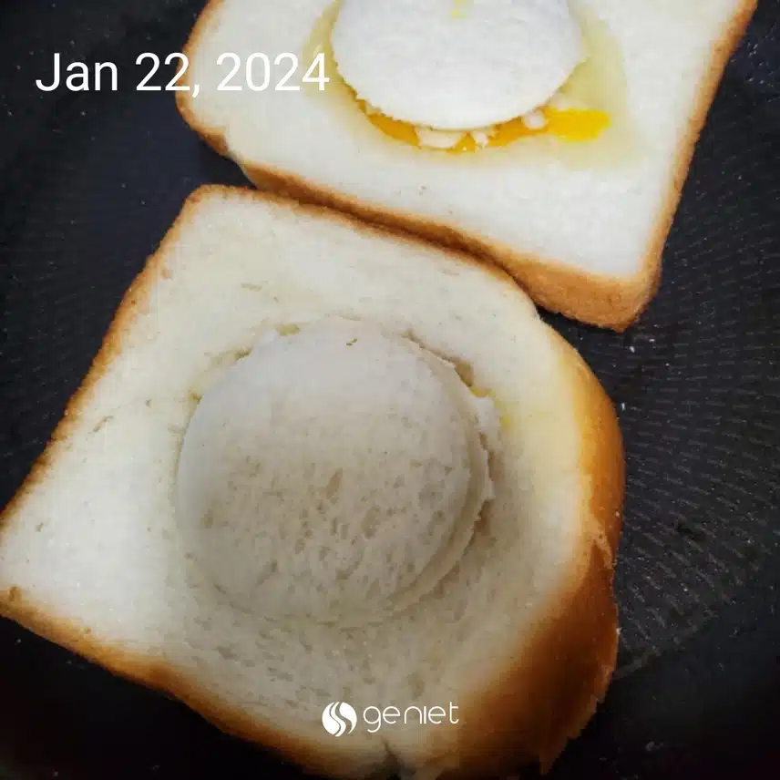 저의 단백질...? 달걀달걀