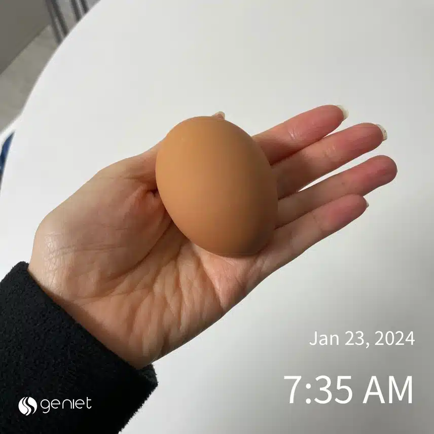 삶은 계란이 최고♡