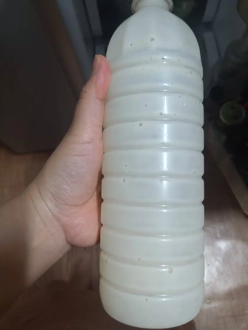 여성질환에 좋은 콩 이야기 건강꿀팁
