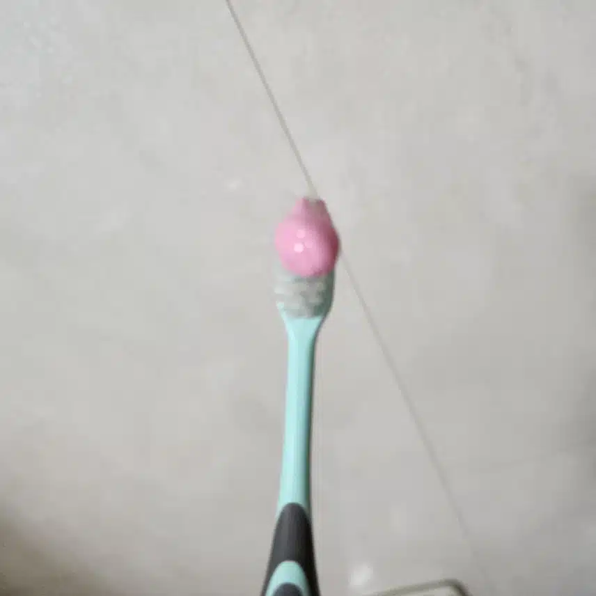 양치 