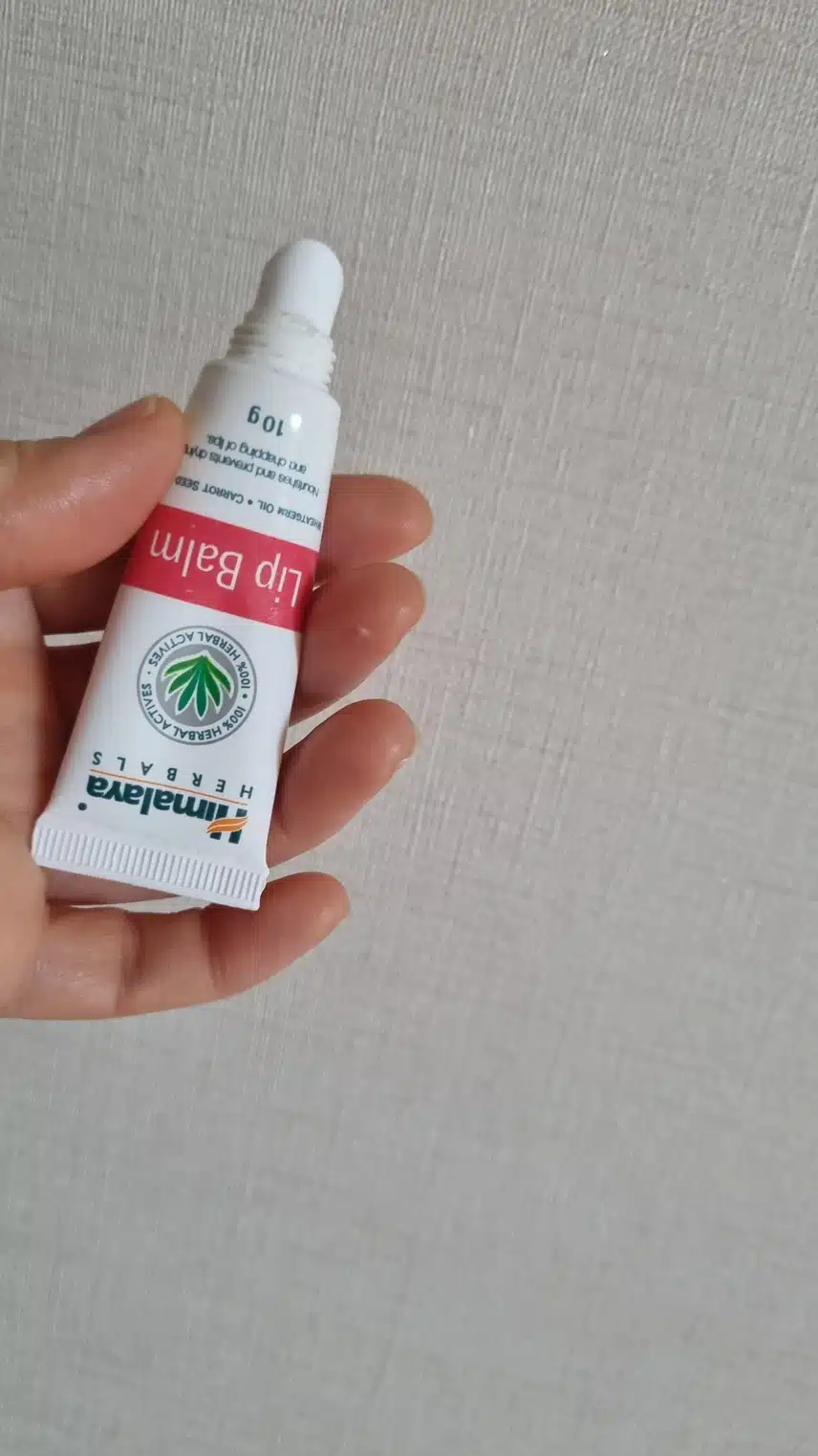 자기전 립밤 바르기