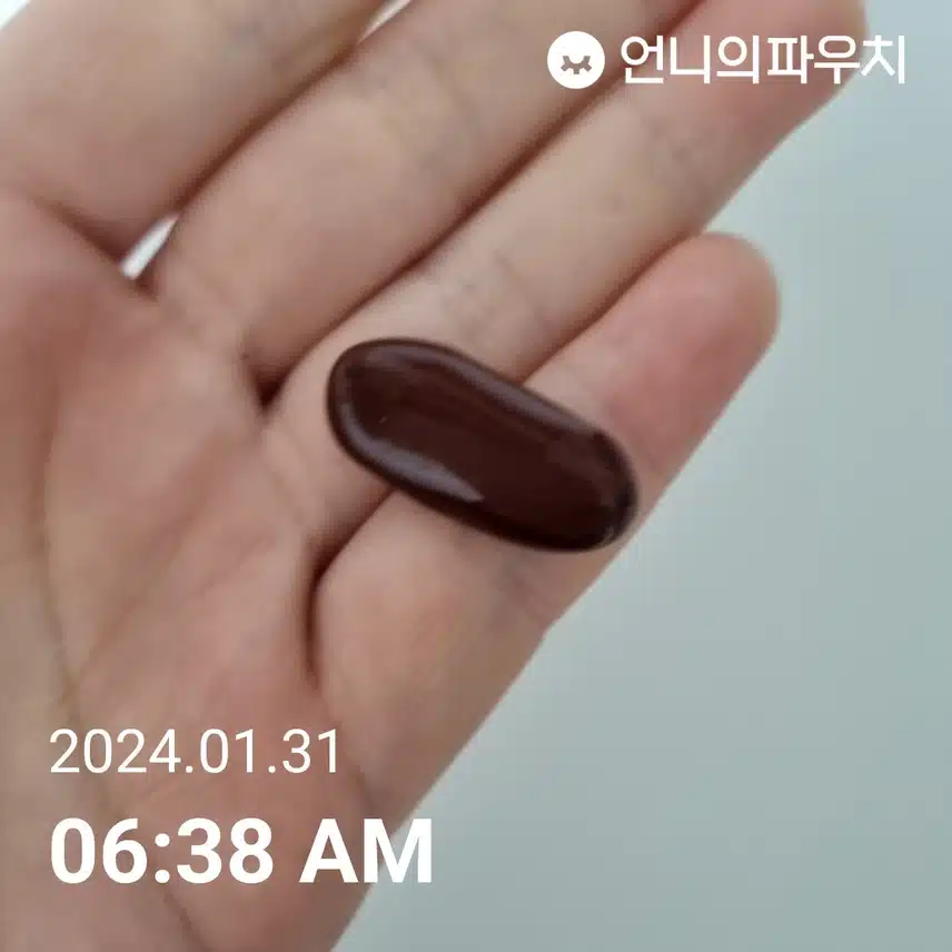 밀크씨슬 
