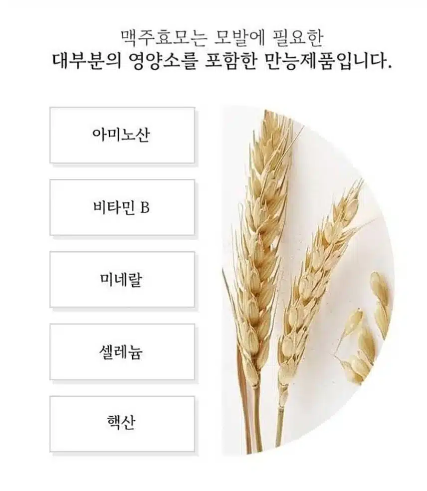 [3월 내돈내산] 소담스럽게 예쁨을 더하다 유산균