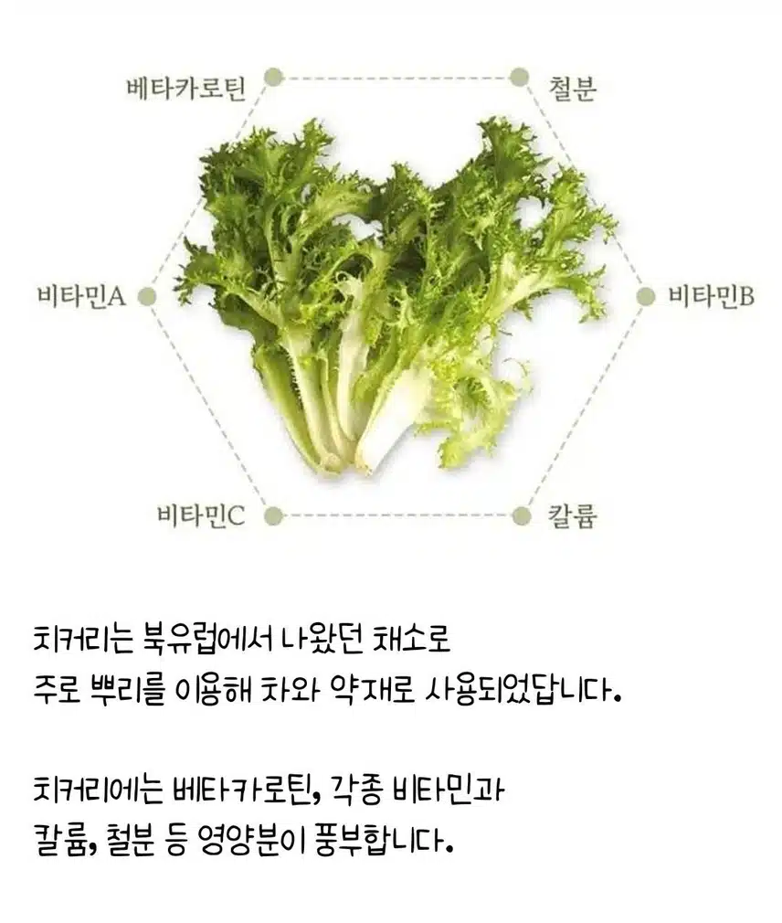 [3월 내돈내산] 소담스럽게 예쁨을 더하다 유산균