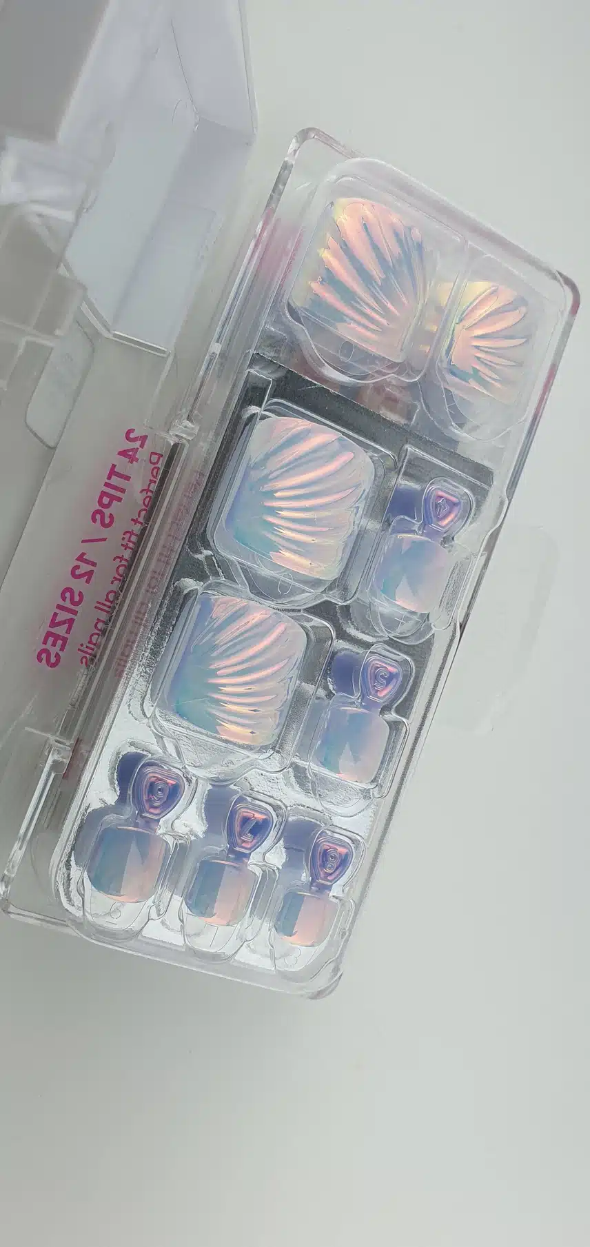 곱디 고운 데싱디바