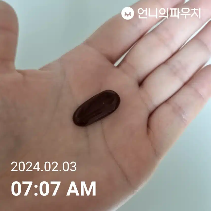 밀크씨슬 