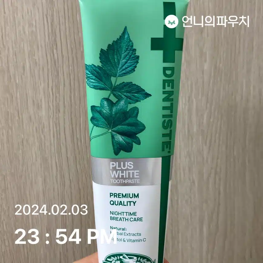 덴티스테 치약