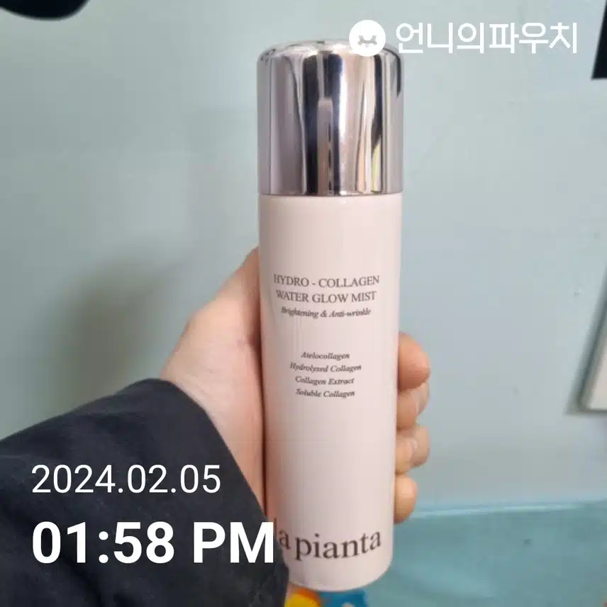 오후에도 미스트