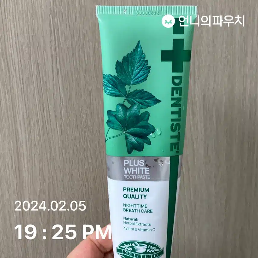 덴티스테 치약