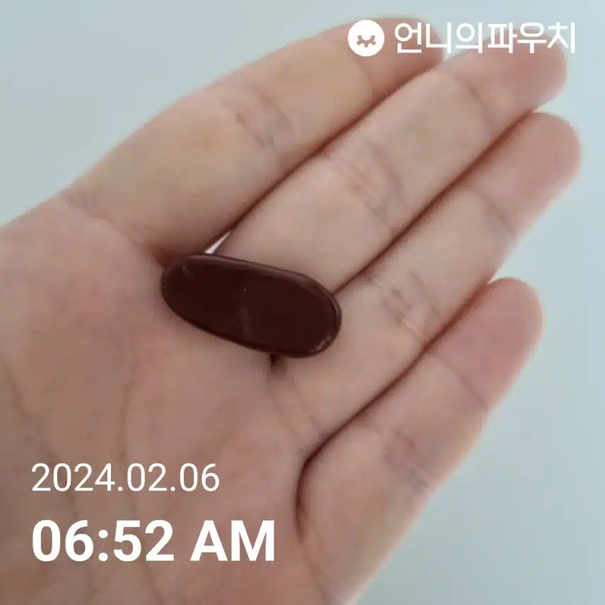 밀크씨슬 