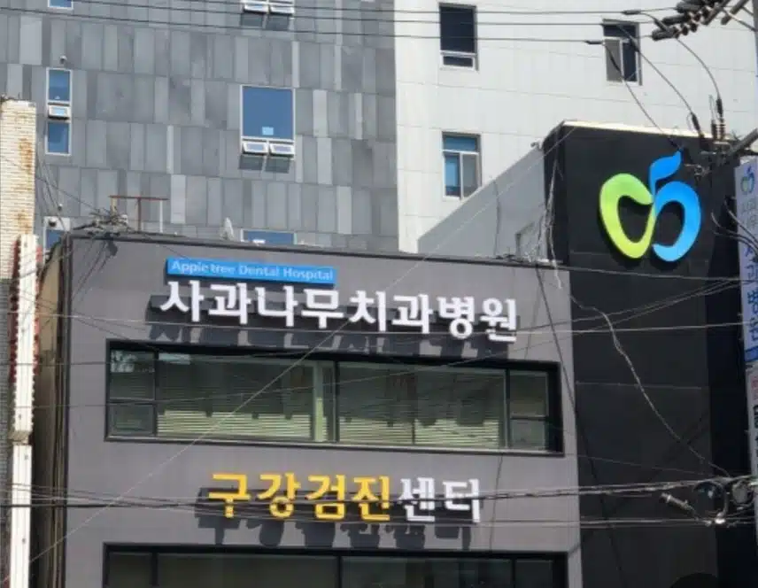 정기적으로 부천사과나무치과에서 스케일링 받습니다