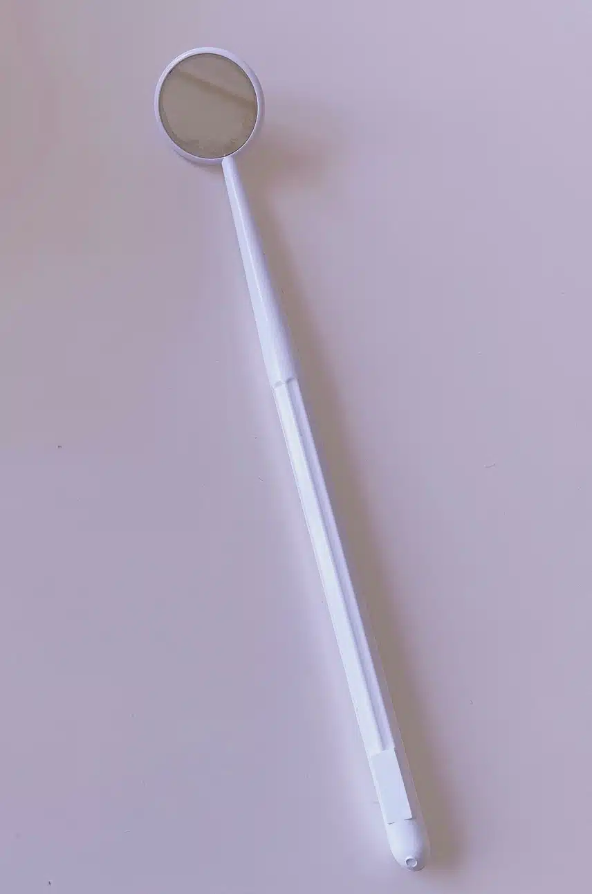 다이소 치경