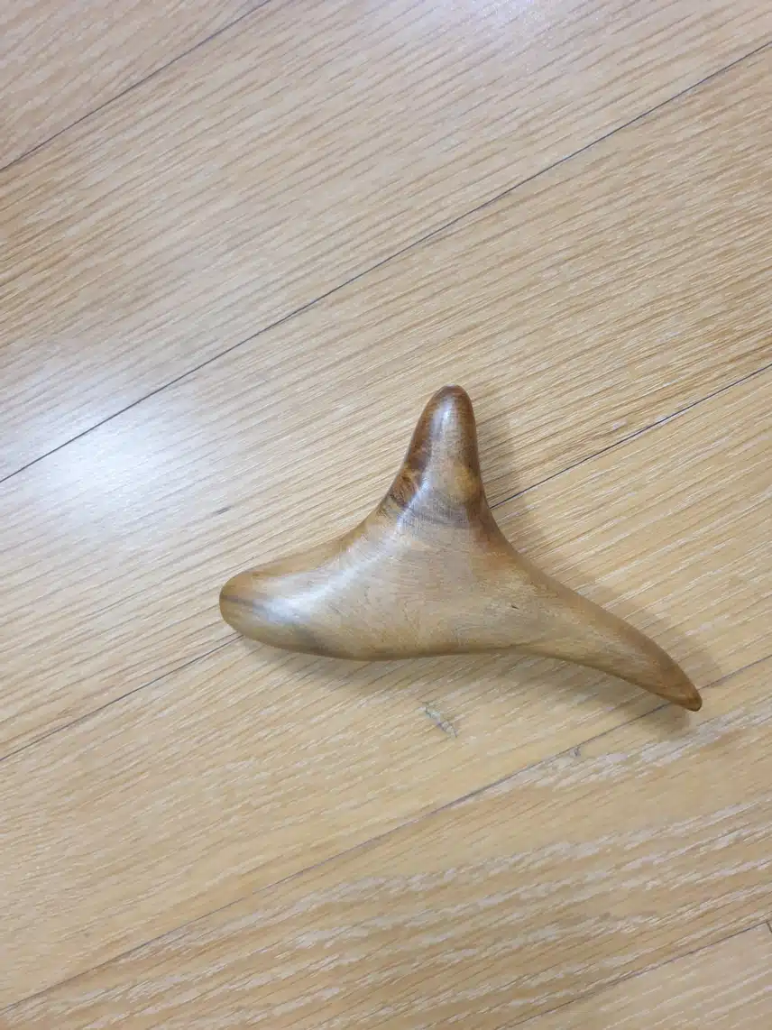 괄사