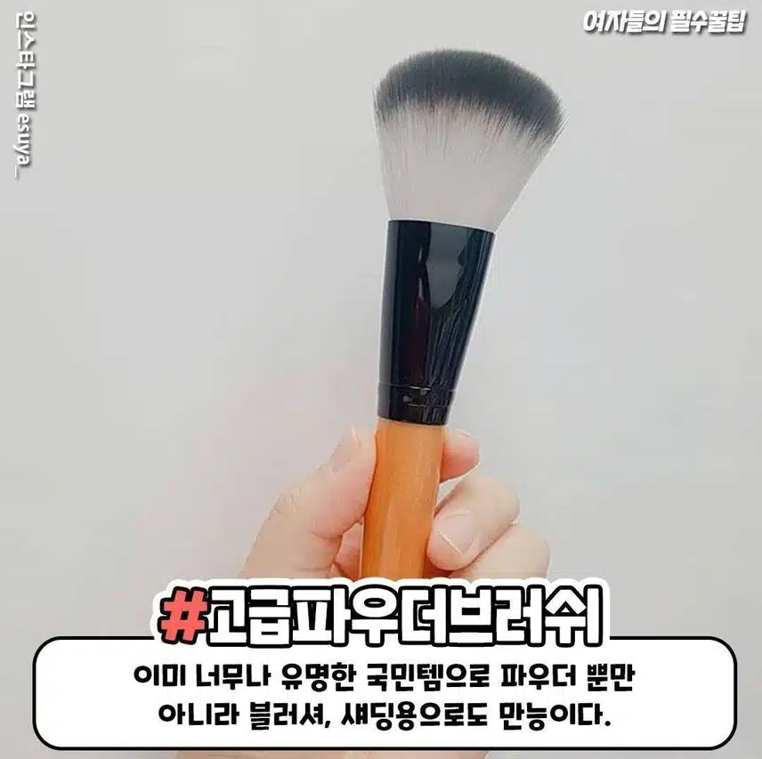 다이소 브러쉬 추천