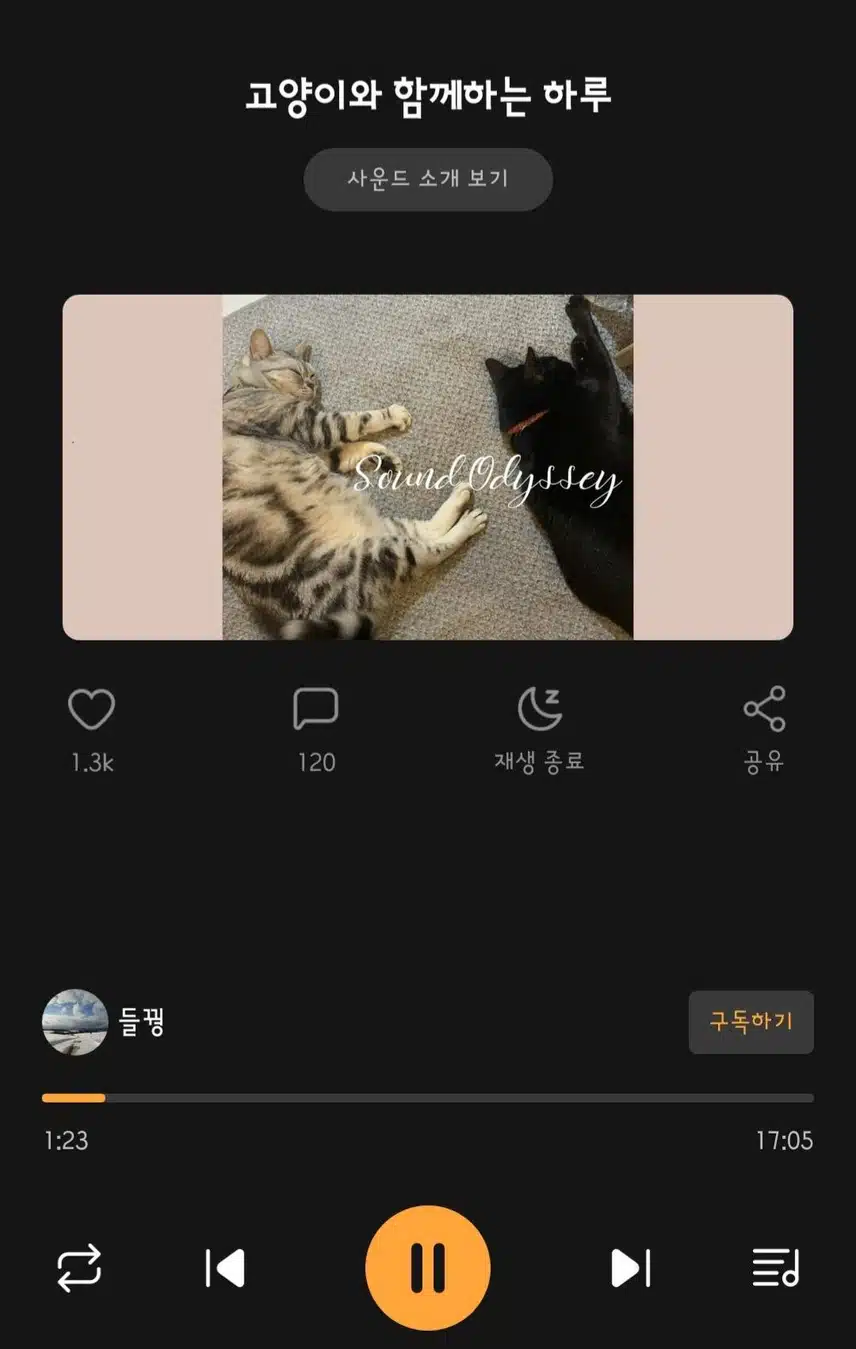 [힐링 노래 추천] 고양이와 함께하는 하루