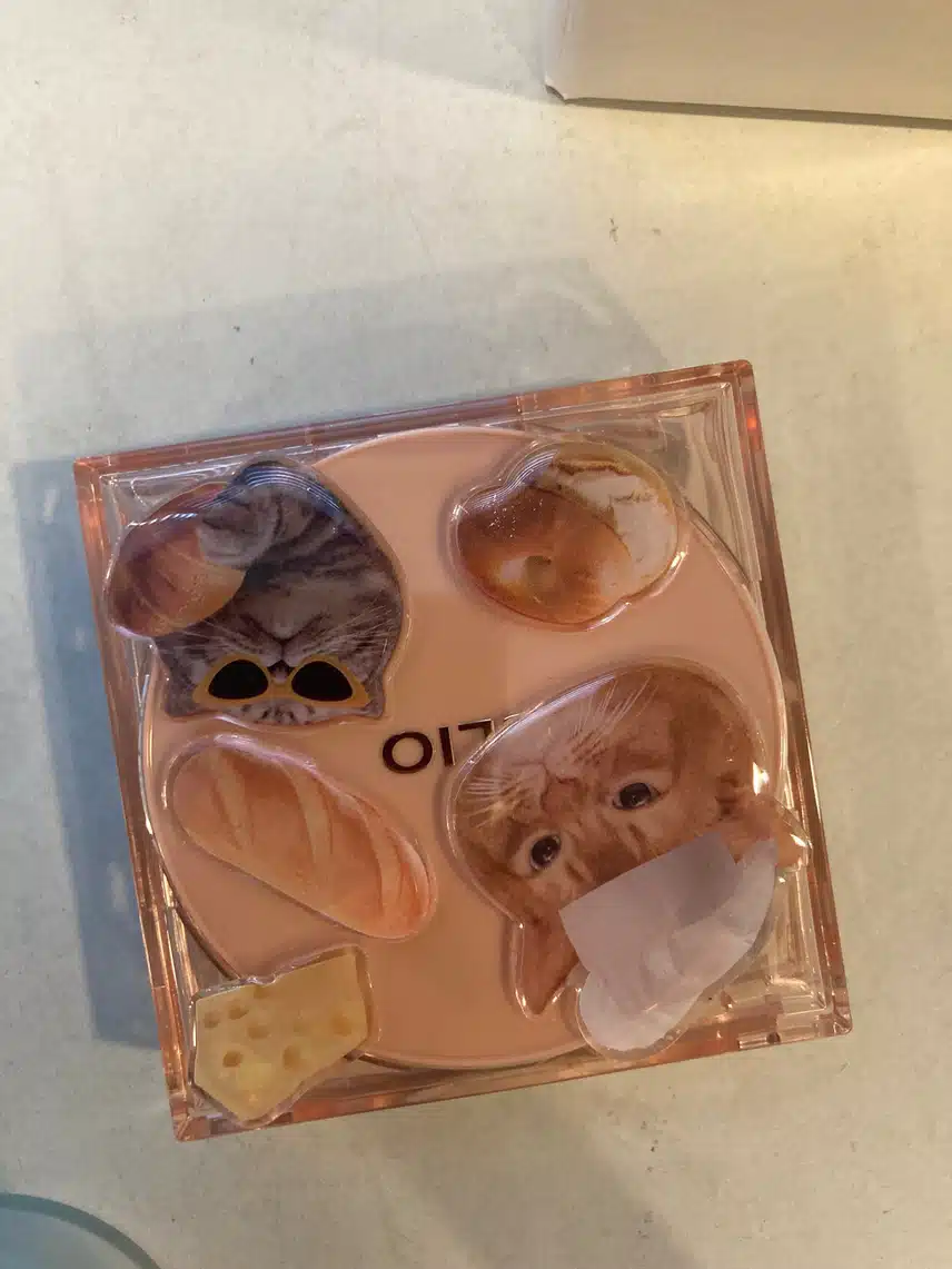 무난한 쿠션 클리오