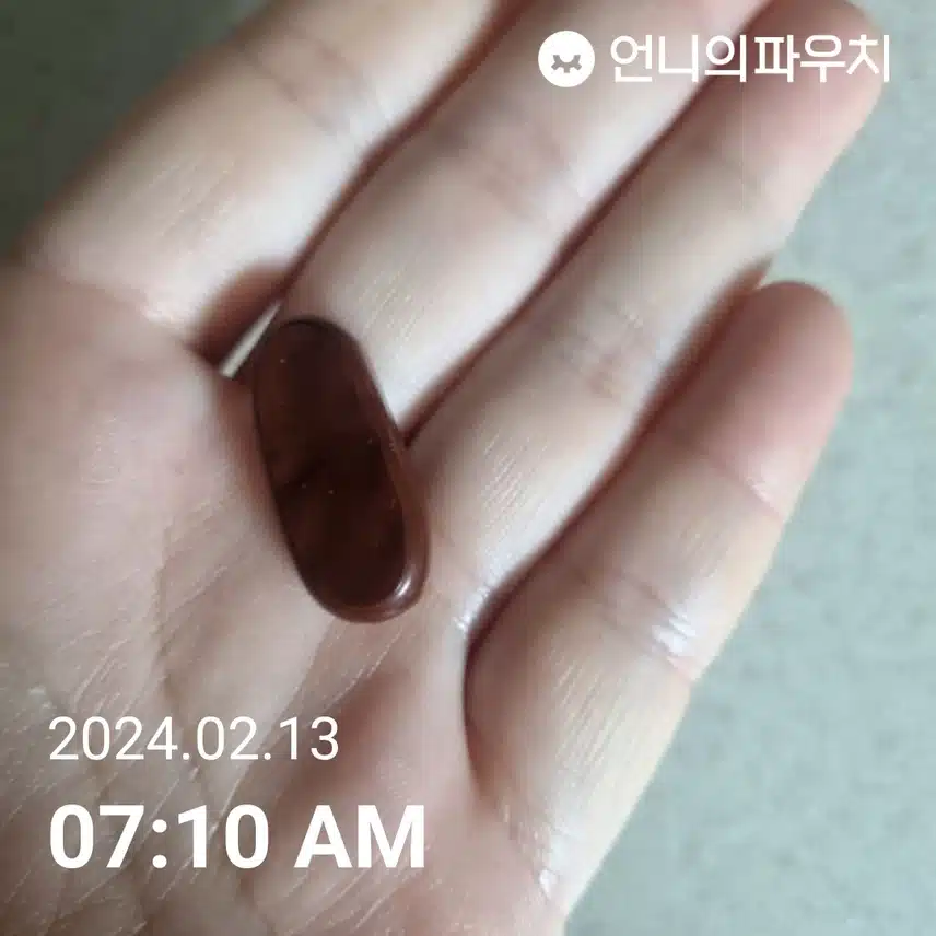 밀크씨슬 