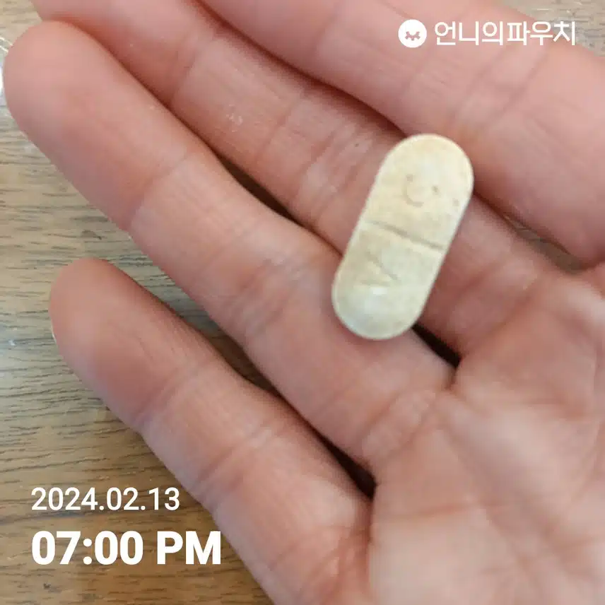 영양제 