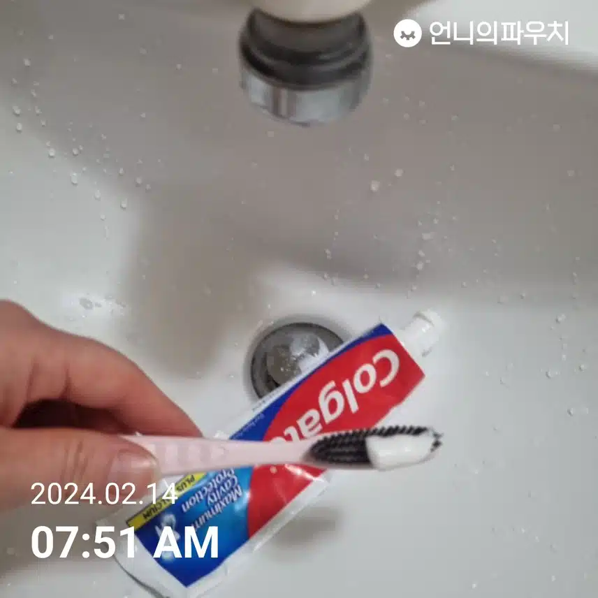 양치먼저 해주네요.