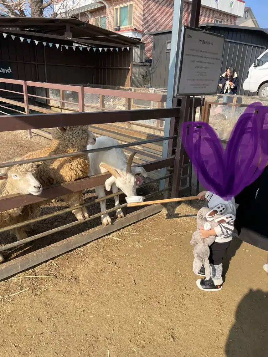 아이가 있다면 추천👍폐교->체험공간
