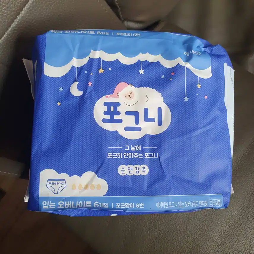 입는 생리대 포그니!