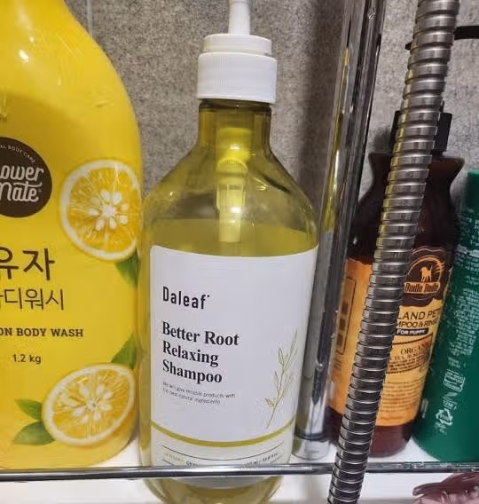 달리프 클로렐라 베러루트 릴렉싱 탈모증상완화 약산성 두피샴푸+달리프 클로렐라 베러 루트 쿨링 스프레이!