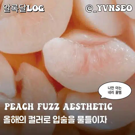 네리 립맛집인거 아는사람? 올해의 컬러를 입술에 물들여보자 