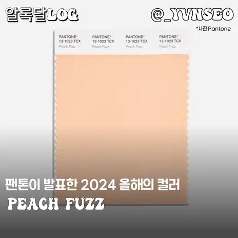 네리 립맛집인거 아는사람? 올해의 컬러를 입술에 물들여보자 