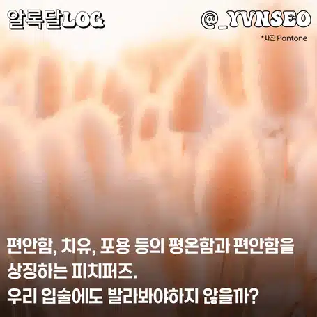 네리 립맛집인거 아는사람? 올해의 컬러를 입술에 물들여보자 