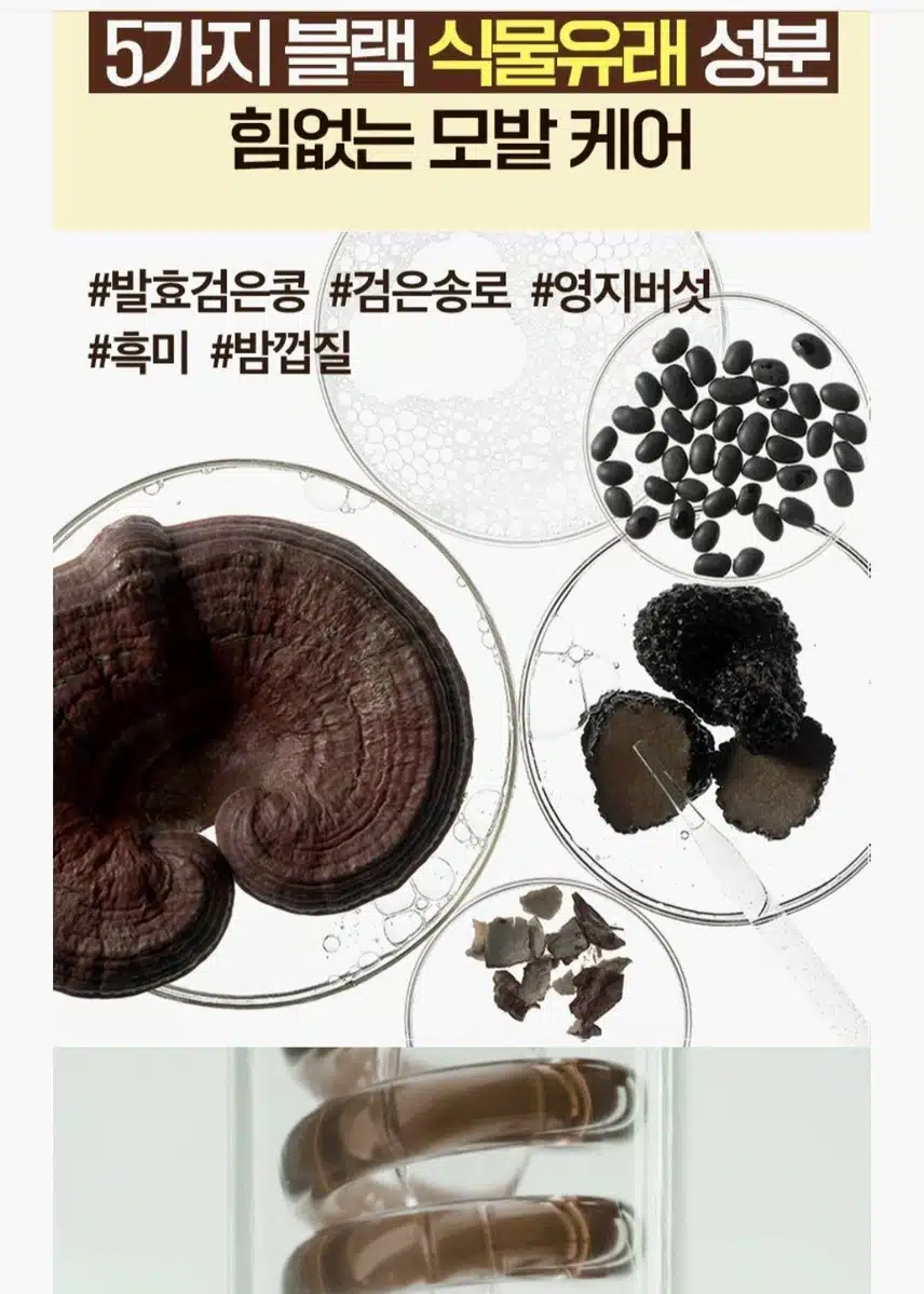 장마철 헤어템으로 려 흑운 샴푸 추천합니다 😎 