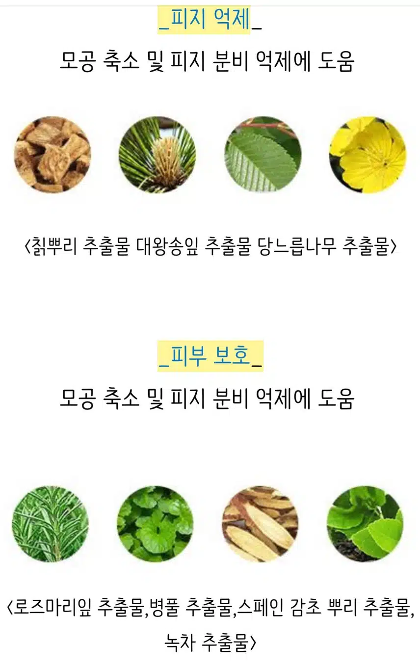 장마철 헤어케어~~에코글램샴푸