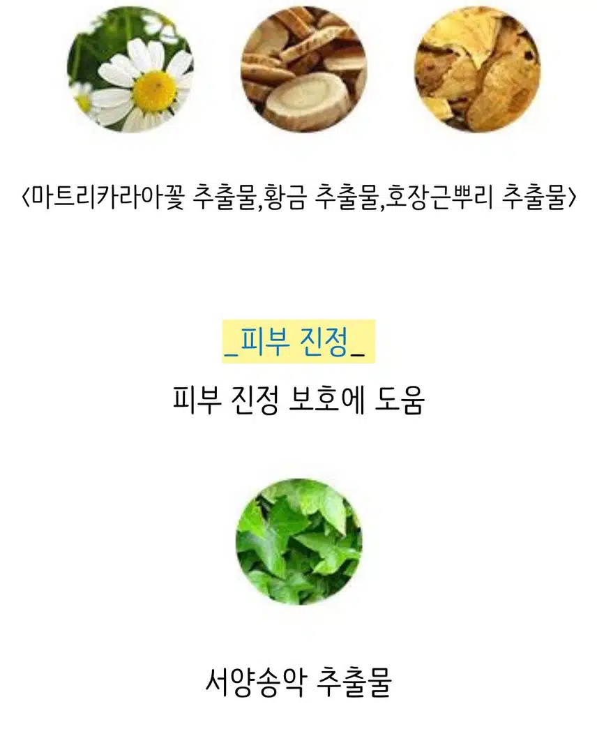 장마철 헤어케어~~에코글램샴푸