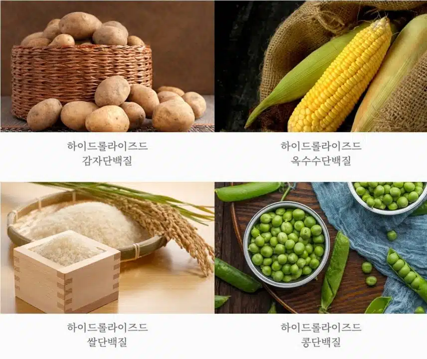 비건 샴푸👍 비프로젝트 스테이 헤어 딥클렌징 샴푸를 추천합니다
