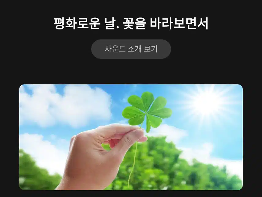 평화로운 날, 꽃을 바라보면서